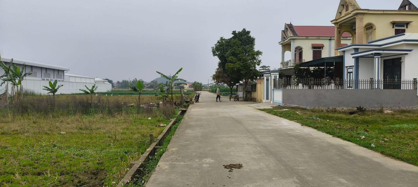 Đất nền Liên Lộc, Hậu Lộc 192m² - Đường rộng 6m, gần khu công nghiệp