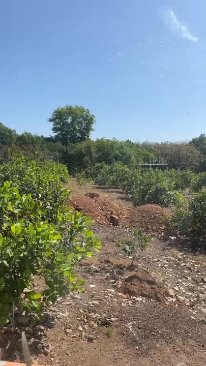 Cần bán gấp nhà phố Tiến Thành Đồng Xoài 200m² giá 1 tỷ - Hướng Đông Bắc, đầy đủ tiện nghi!