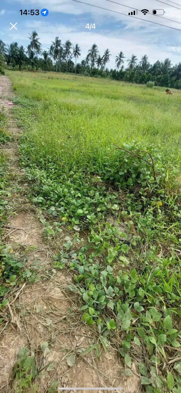 Đất thổ cư mặt tiền huyện 33, xã Cái Nhum, 200m² giá 800 triệu - Đầu tư sinh lời ngay!