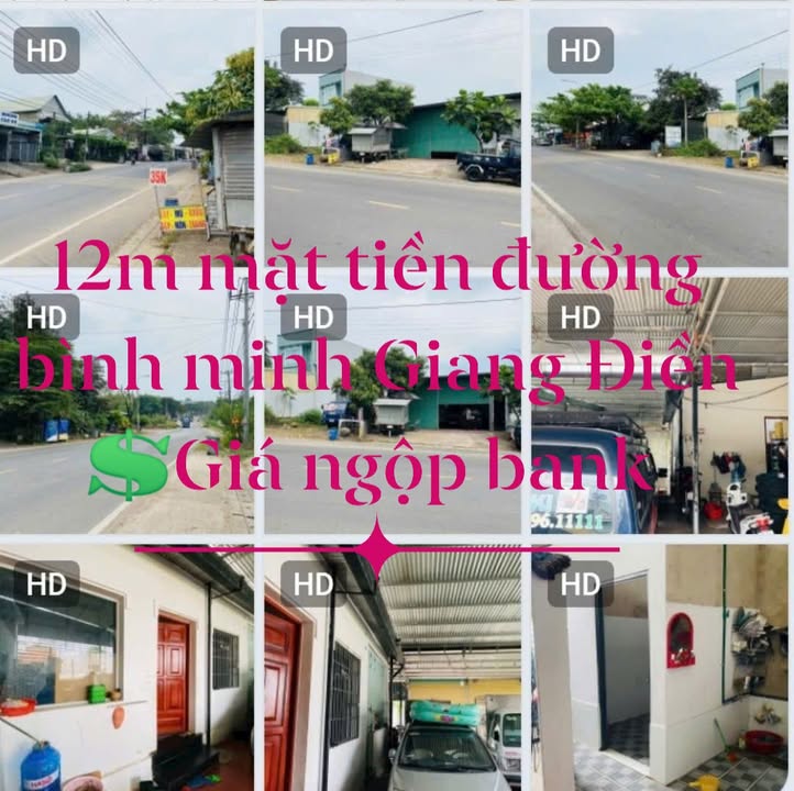 Đất mặt tiền đường Bình Minh, Giang Điền, 227m² chỉ 5 tỷ - Cơ hội đầu tư tuyệt vời!
