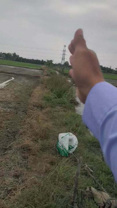 Đất nền thanh lý xã Đa Lộc, huyện Châu Thành, Trà Vinh 6000m² - Giá thỏa thuận hấp dẫn!