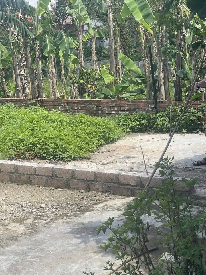 Đất nền Thủy Sơn, Thủy Nguyên 63m² giá 1.9 tỷ - Pháp lý rõ ràng, tiềm năng đầu tư!