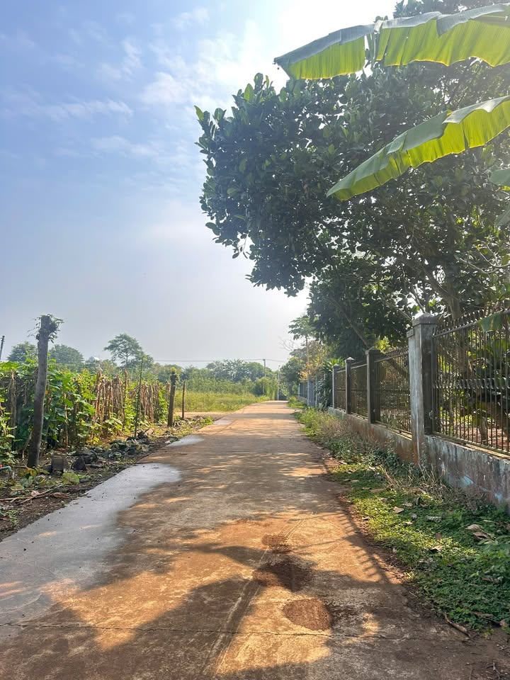 Đất nền chính chủ Xuân Tây 110m² chỉ 370 triệu - Cơ hội đầu tư tuyệt vời!