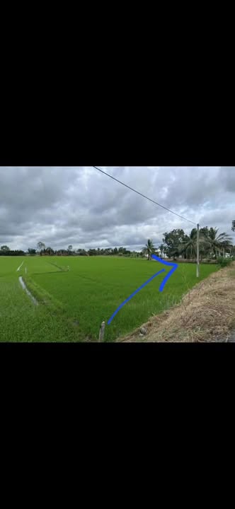 Bán đất mặt tiền lộ nhựa xã Vĩnh Phước B 1350m² giá 67.5 tỷ - Cơ hội đầu tư hấp dẫn!