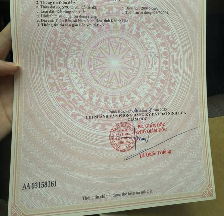 Đất Ninh Tân, Ninh Hòa 20,000m² giá 900 triệu - Cơ hội đầu tư tuyệt vời!