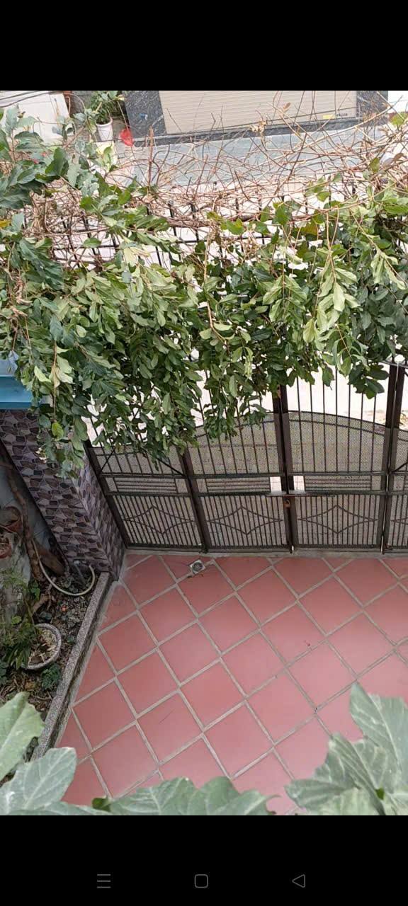 Nhà phố Tân Sơn Thanh Hóa 100m² giá thỏa thuận - Nhanh tay sở hữu trước Tết!