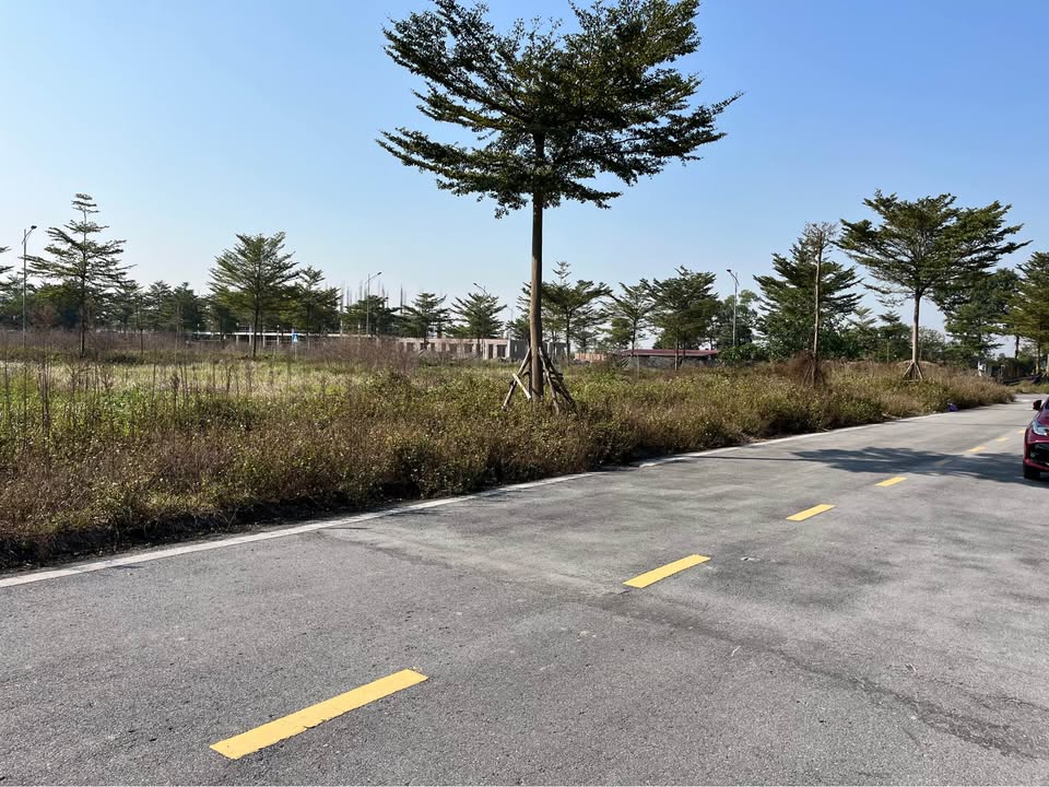 Bán đất dự án Dabaco Thuận Thành 250m² giá chỉ từ 40 triệu/m² - Đầu tư sinh lời hấp dẫn!