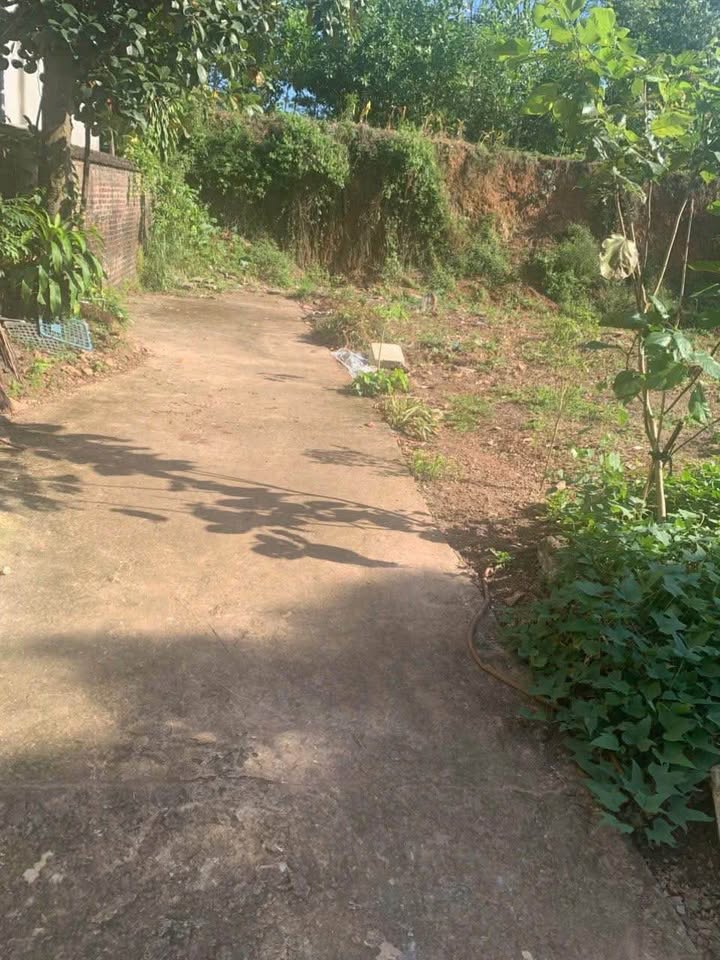 Đất nền tại Thịnh Đán, Thái Nguyên 76m² và 86m² - Giá thỏa thuận hấp dẫn!