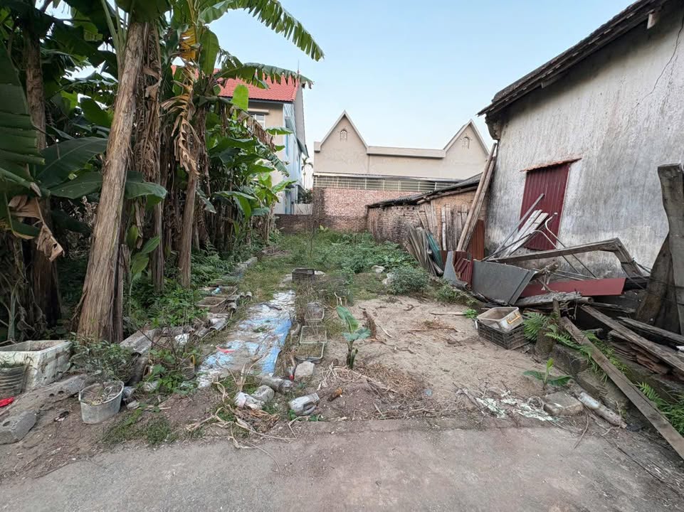 Đất thổ cư Xâm Thị, Hồng Vân 61m² giá 6x triệu - Tiềm năng đầu tư lớn!