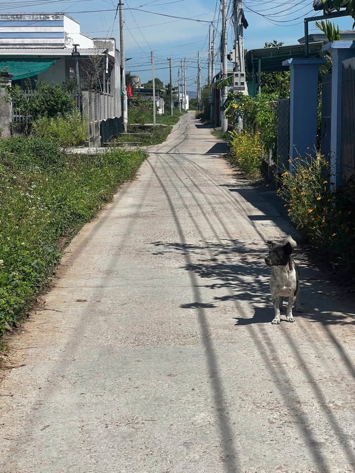 Đất nền Phường Hàm Thắng, Bình Thuận 4641m² giá 16.7 tỷ - Vị trí đắc địa cho đầu tư!