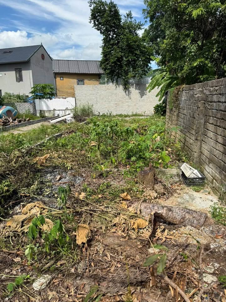 Đất nền Hòa Bình 115m² giá 1.4 tỷ - Cơ hội hiếm có cho đầu tư!