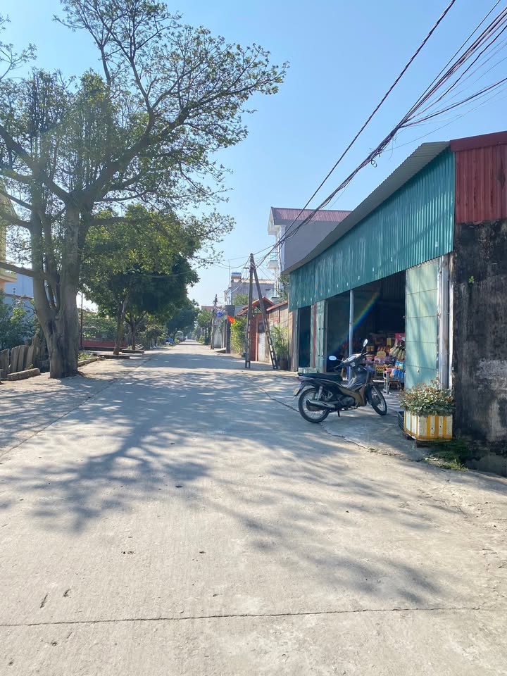 Đất nền 125m² Đức Giang, Yên Dũng chỉ 900 triệu - Đầu tư sinh lời ngay!