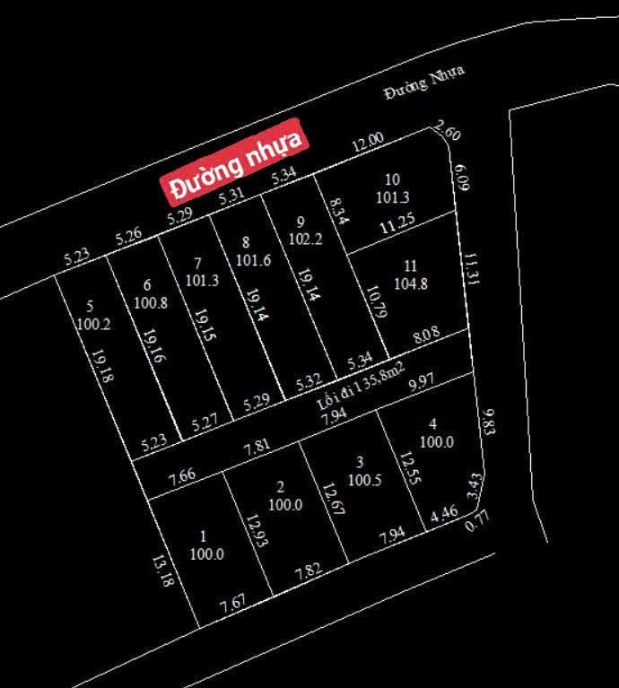Đất nền 2 mặt tiền đường Tân Phượng, Hoài Đức 100m² giá chỉ 1 tỷ - Cơ hội đầu tư hiếm có!