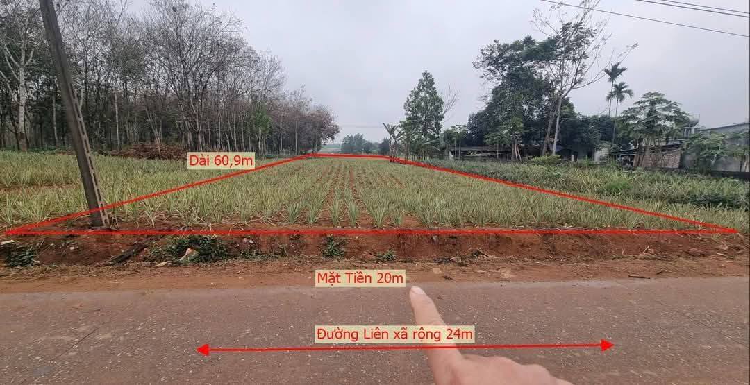 Đất thổ cư thôn 6 Lam Sơn 1218m² giá 1.2 tỷ - Đầu tư sinh lời cao!