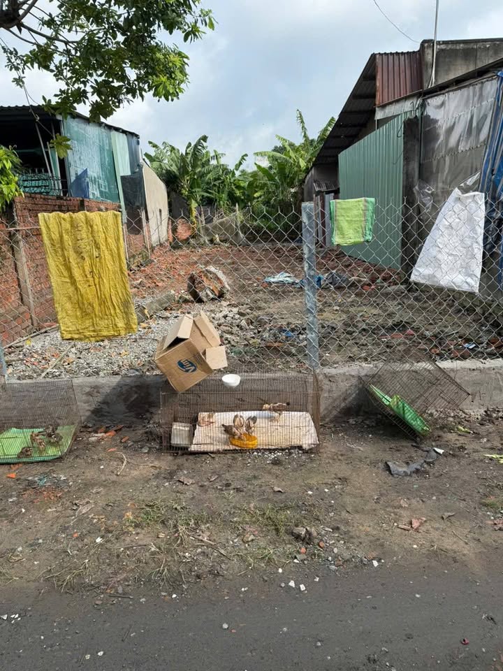 Đất nền Tân Hiệp Hóc Môn 140m² giá 3.2 tỷ - Đường nhựa thông thoáng, gần chợ, trường học!