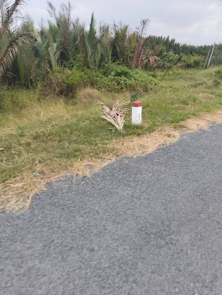 Đất mặt tiền ấp La Bang Chùa, xã Đôn Châu, 660m² giá chỉ 590 triệu - Cơ hội đầu tư không thể bỏ qua!