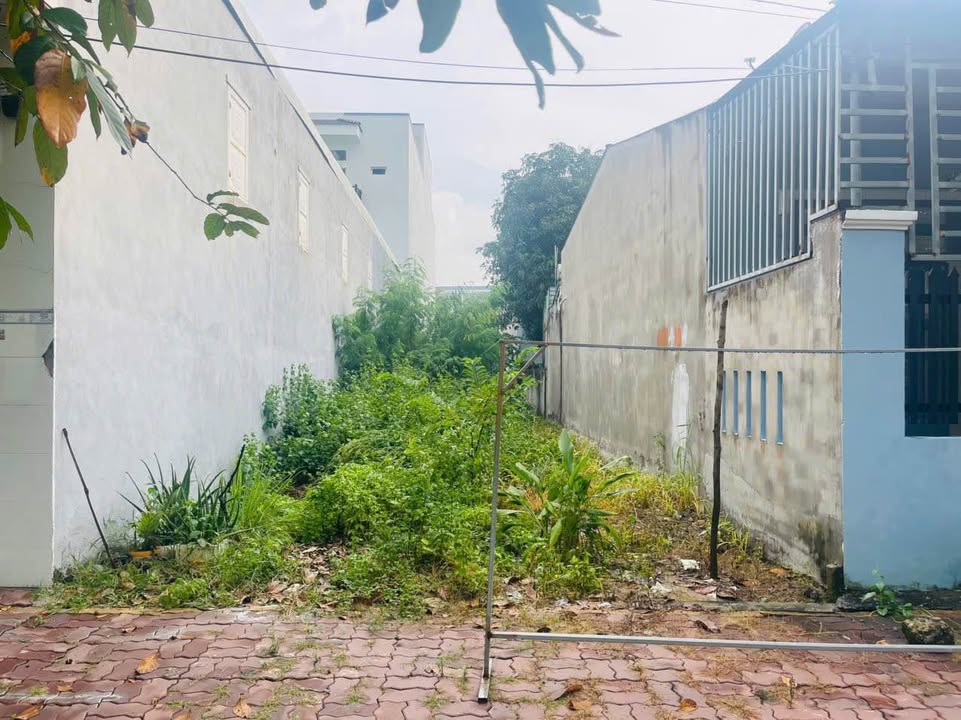 Đất thổ cư 125m² đường Bùi Huy Bích - Phú Mỹ - Giá 3,1 tỷ - Đầu tư sinh lời!