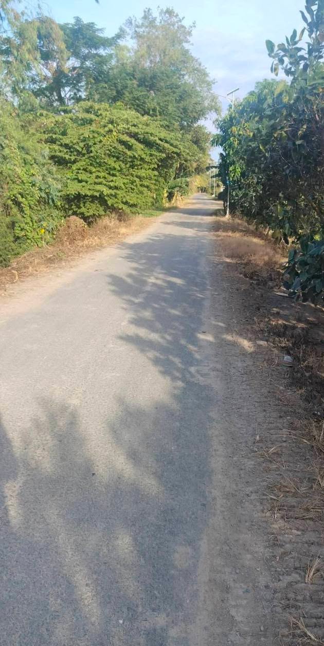 Bán đất nông nghiệp 38 công tại xã Vĩnh Hanh, Châu Thành - Cơ hội đầu tư lý tưởng!