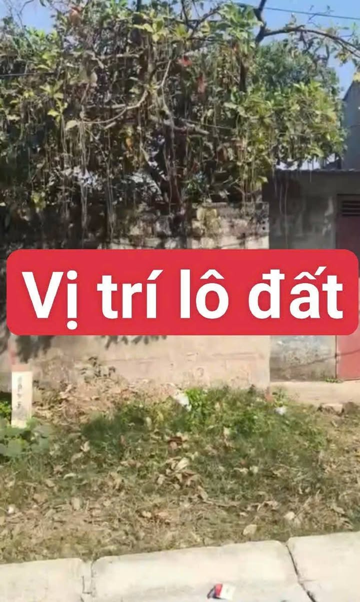 Đất nền chợ Đằng Xá, Hoằng Đạo 203m² giá 3.1 tỷ - Tiềm năng kinh doanh sinh lời!