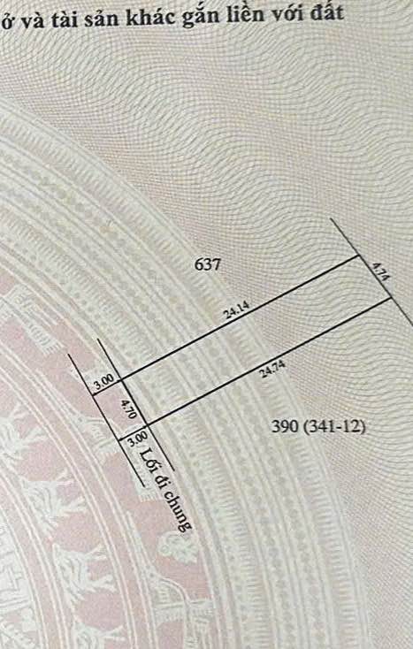 Đất nền Thanh Hải - Thủy Xuân 113,7m² giá 1,78 tỷ - Vị trí đẹp đầu tư an cư!