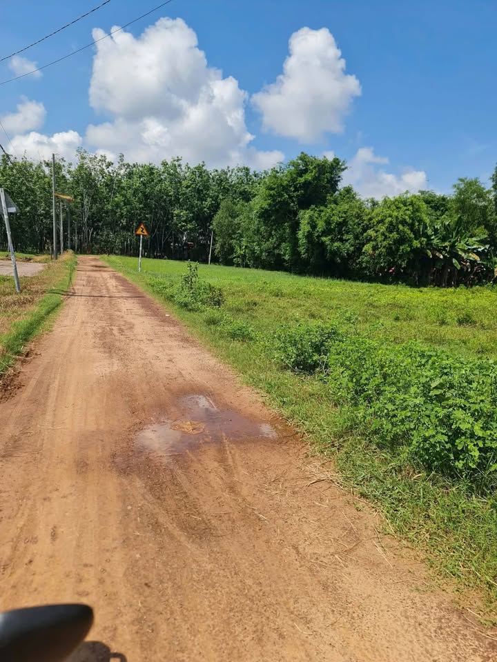 Đất nền Lộc Khê, Gia Lộc, Tây Ninh 125m² giá 450 triệu - Đầu tư sinh lời ngay!