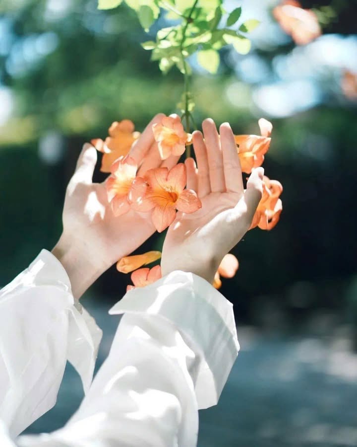 Nhà 2 tầng Phú Nhuận 76m² giá 7.155 tỷ - Vị trí đắc địa, tiện xây phòng cho thuê!