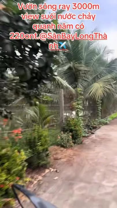 Mảnh vườn đẹp tại Sông Ray, Cẩm Mỹ - Diện tích 3024m², giá 1 tỷ - Cơ hội sở hữu không thể bỏ lỡ!