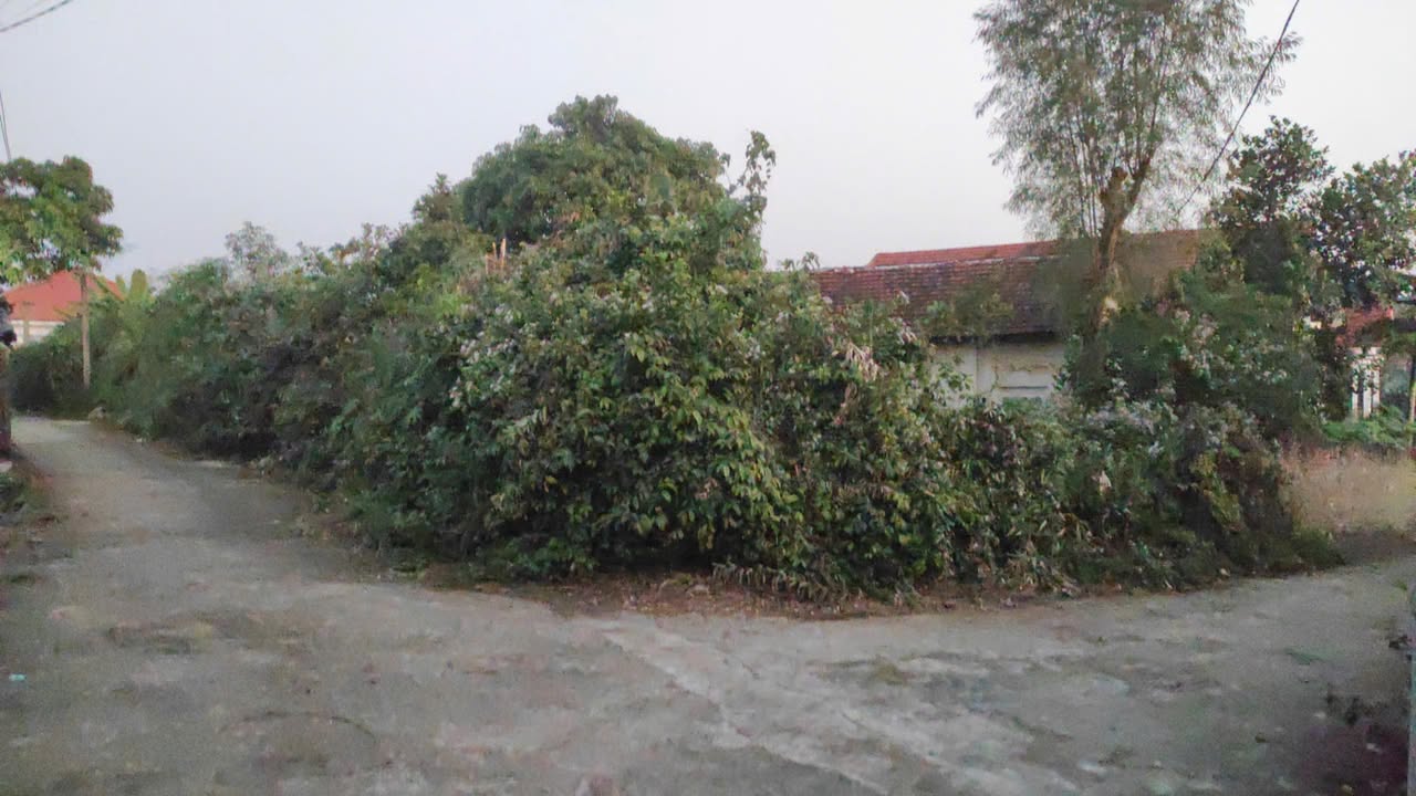 Đất nền lô góc xã Chu Hóa - Việt Trì 304m² giá chỉ 1.1 tỷ - Cơ hội đầu tư tuyệt vời!