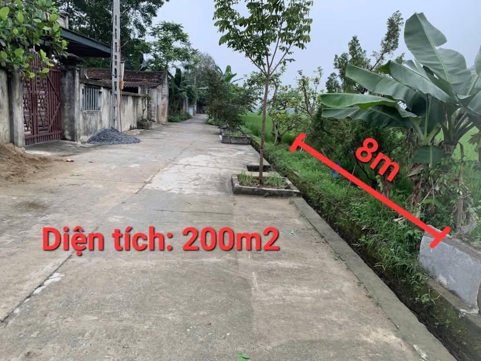 Đất nền 200m² tại xã Xuân Phong, giá 3 tỷ - Cơ hội đầu tư hấp dẫn!