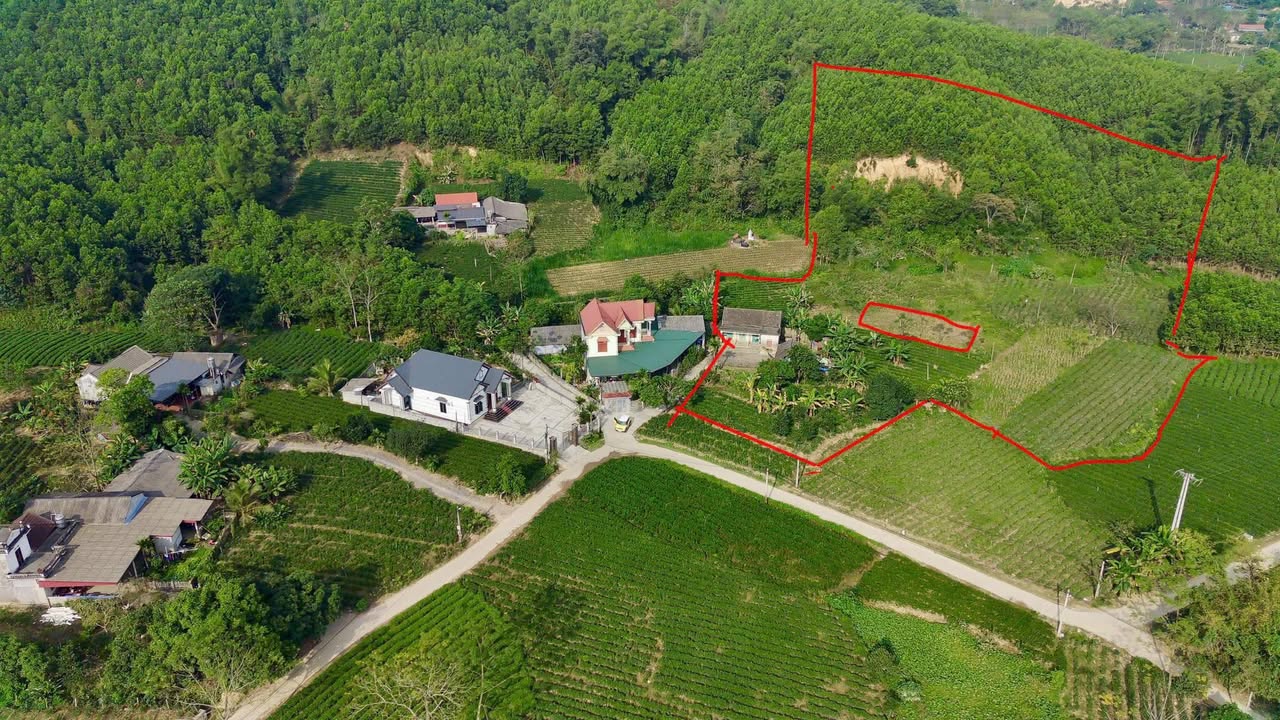 Đất thổ cư Vô Tranh, Phú Lương 12.000m² giá 2 tỷ - Cơ hội đầu tư tuyệt vời!