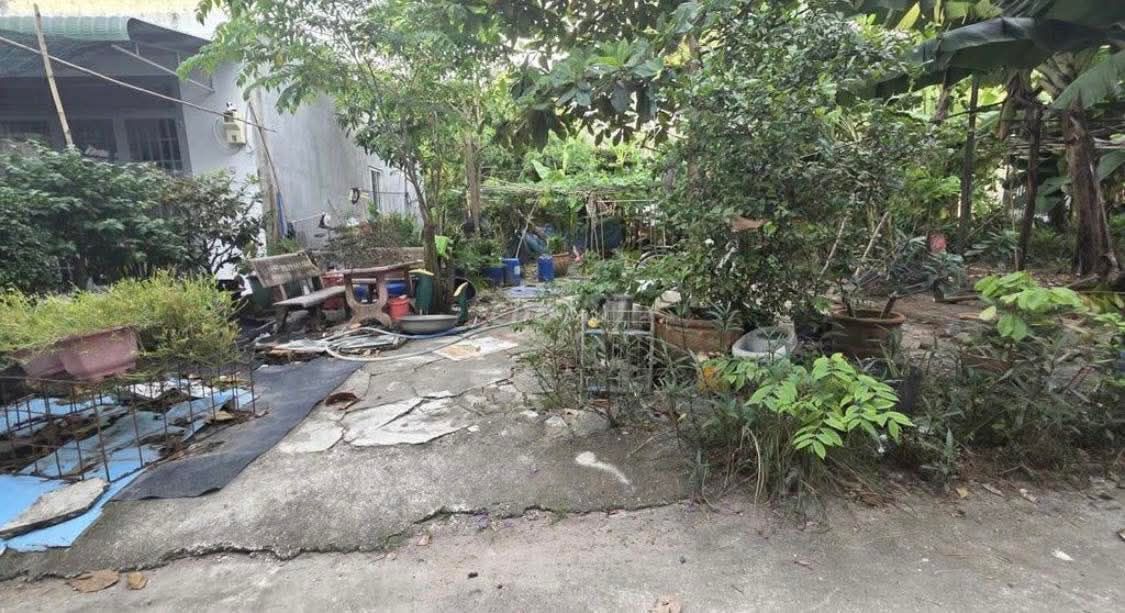 Đất thổ cư Tân Hiệp Hóc Môn 133.5m² giá 2.45 tỷ - Sổ hồng riêng, đầu tư sinh lời!