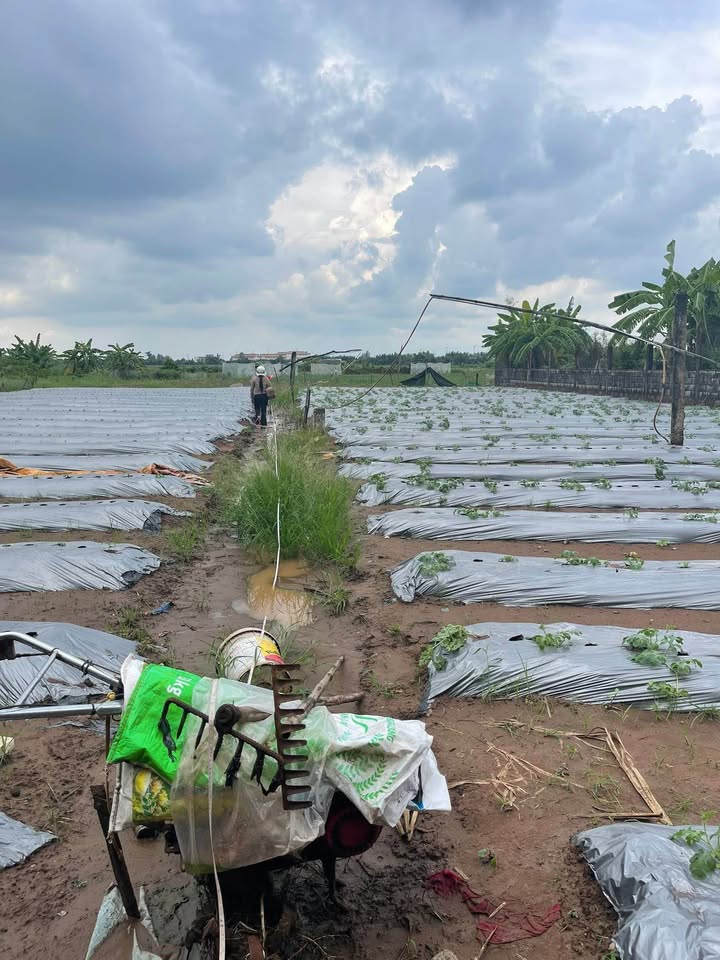 Đất Tỉnh 877b, xã Tân Phú Đông, 288m² giá 420 triệu - Đầu tư sinh lời ngay!