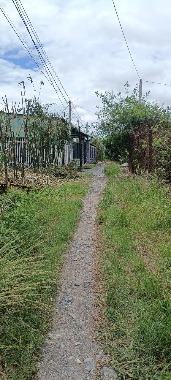 Đất Hẻm 16 Nguyễn Lương Bằng, Phường Long Hoa, 231m² giá 595 triệu - Cơ hội đầu tư hấp dẫn!