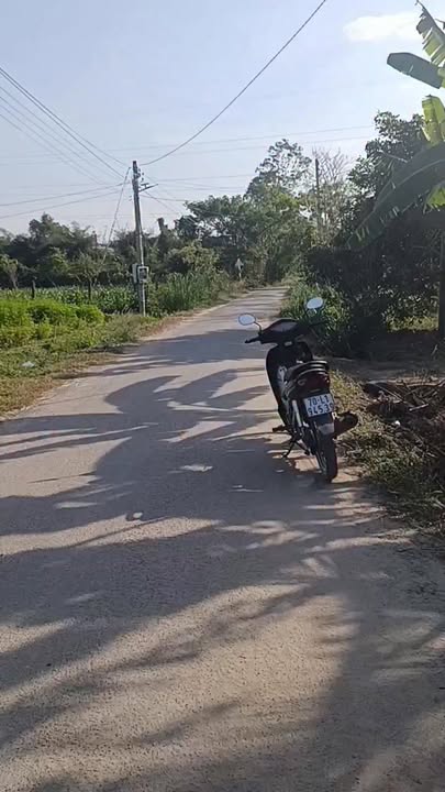 Đất mặt tiền nhựa An Thới, Trảng Bàng 53m² giá chỉ 550 triệu - Cơ hội đầu tư hấp dẫn!