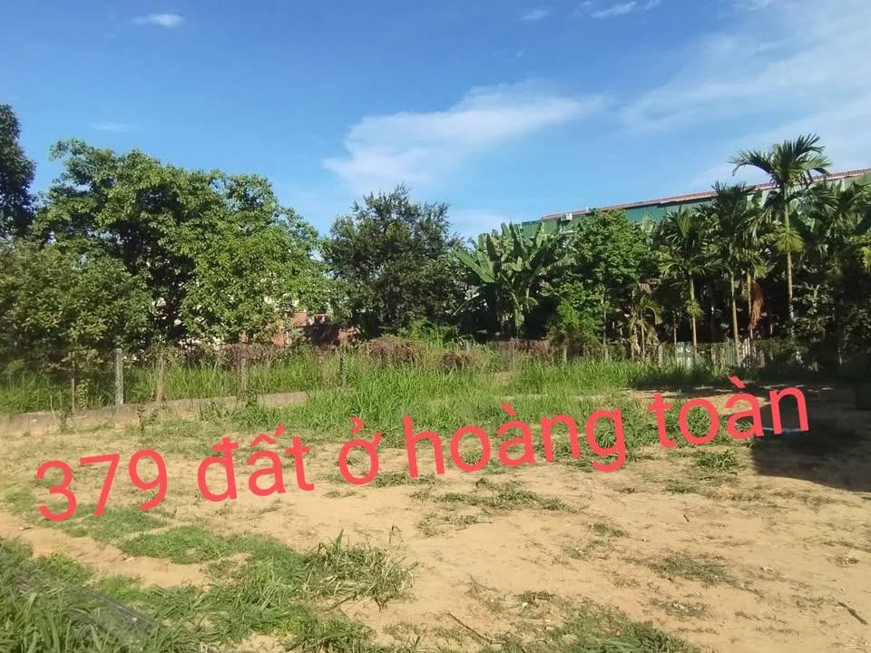 Đất nền 379m² tại Cẩm Thành, Quảng Ngãi giá chỉ 1.85 tỷ - Sẵn sàng đầu tư!