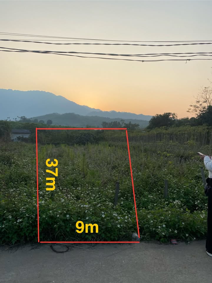 Đất nền Tất Thắng, Thanh Sơn 345m² giá 1 tỷ - Vị trí đắc địa gần trường học!