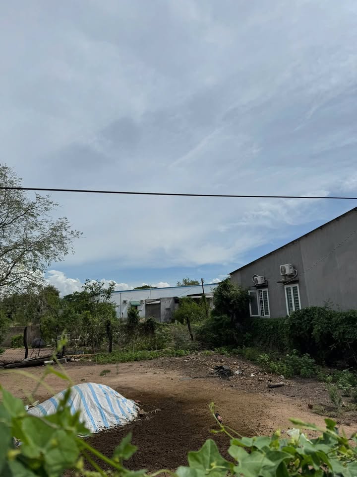 Đất mặt tiền QL27 Tân Mỹ 314m² giá chỉ 500 triệu - Đầu tư sinh lời ngay!