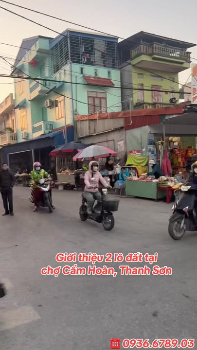 Bán đất đường Huyện lộ 407, xã Thanh Sơn, 75m² - Cơ hội đầu tư hiếm có!