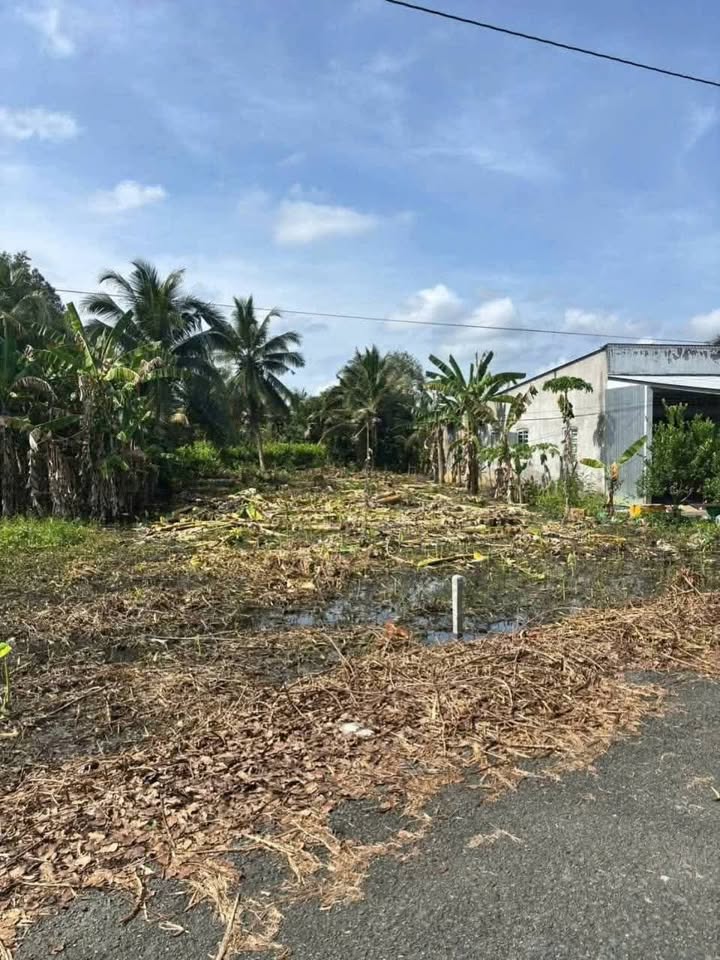 Đất thổ cư đường Vị Bình, xã Hỏa Lựu, 50m² giá 340 triệu - Đầu tư sinh lời ngay!