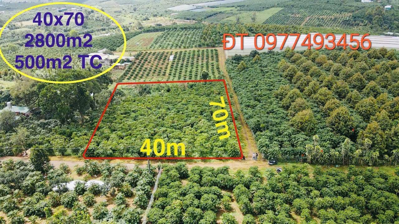 Đất nền 2 mặt tiền Lạc Long Quân, Lộc Thắng, 2800m² - Đầu tư sinh lời ngay!