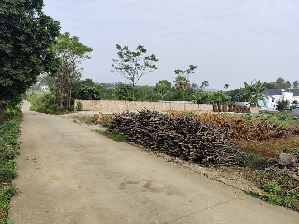 Đất Ba Trại, Ba Vì 500m² giá 1.9 tỷ - Sổ đỏ chính chủ, ô tô vào tận nơi!