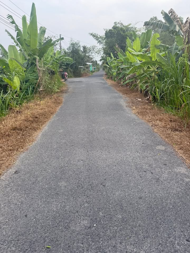 Đất vườn 1382m² tại xã Tam Bình, Vĩnh Long - Thích hợp nghỉ dưỡng!