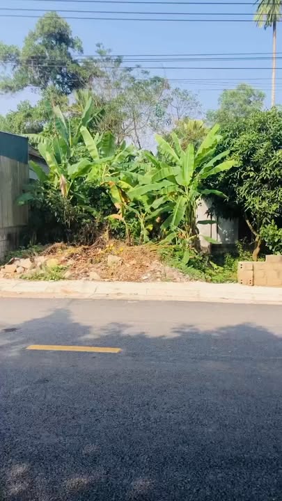 Đất nền Vạn Thiện 174m² - Gần chợ trường học, giá thỏa thuận