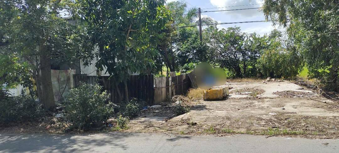 Đất nền mặt tiền Lê Thị Riêng - Hòa Bình, Bạc Liêu 168m² giá 490 triệu - Cơ hội đầu tư hấp dẫn!