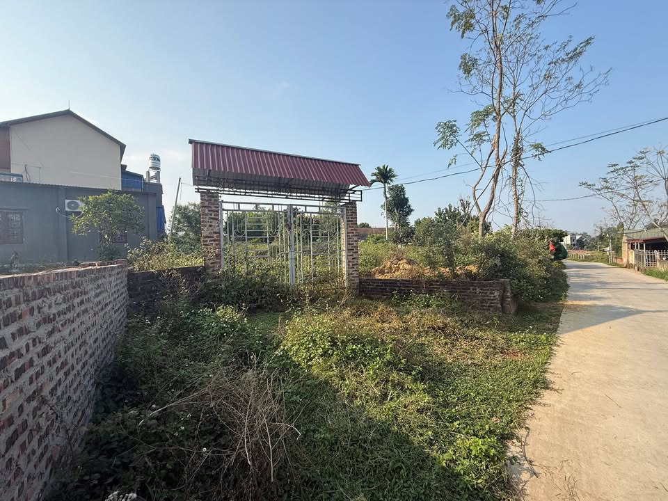 Đất thổ cư 966m² tại Thành Công, Phổ Yên, Thái Nguyên - Vị trí đẹp, giá chỉ 4 tỷ!