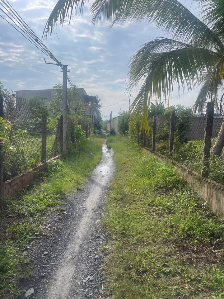 Đất nền Hòa Khánh Nam, Đức Hòa 150m² giá 790 triệu - Cơ hội vàng đầu tư!