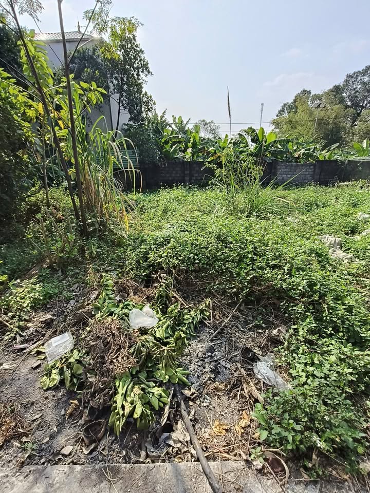 Đất Họa Đống, Ứng Thiên 54m² giá 1.6 tỷ - Đầu tư sinh lời hấp dẫn!