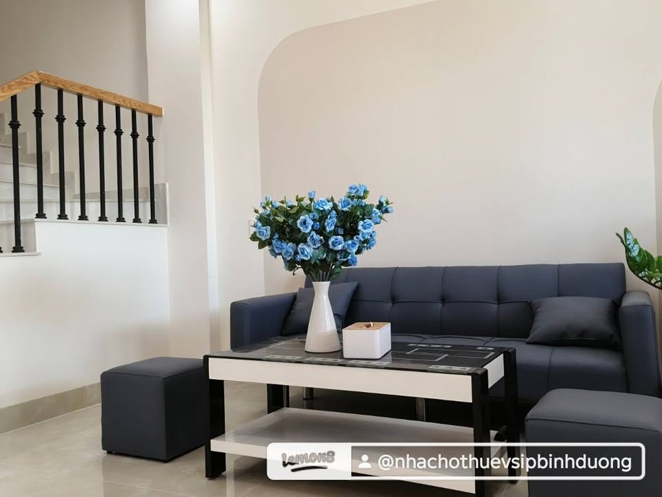 Cho thuê townhouse Sun Casa Bình Dương 100m² giá 13.5 triệu - Nhà full nội thất, vào ở ngay!
