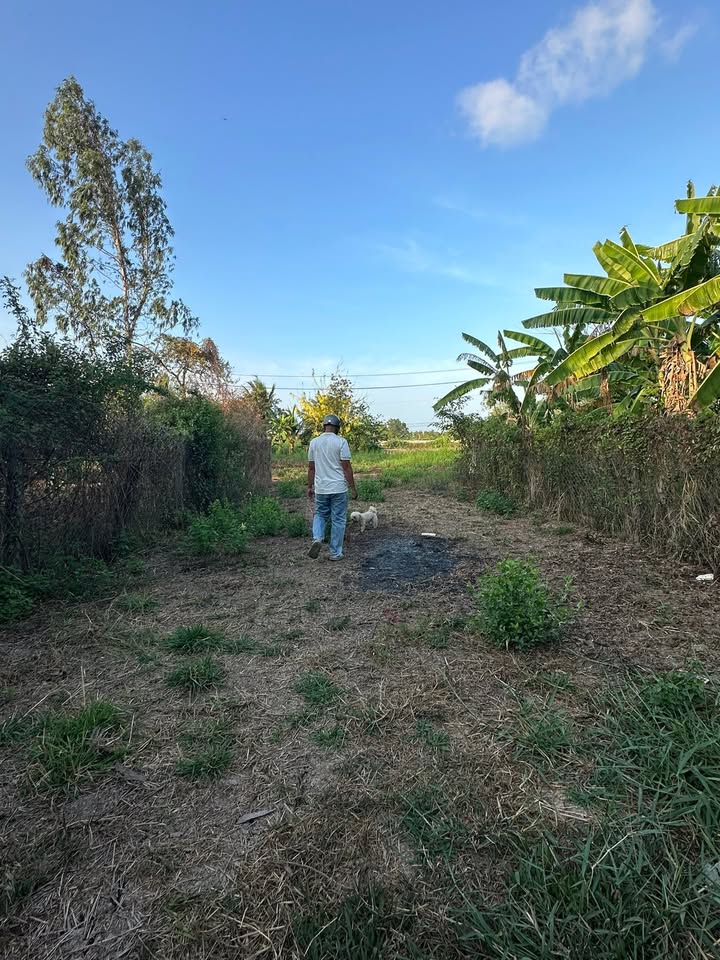 Đất nền nhà vườn tại Bạc Liêu 800m² giá 1.7 tỷ - Tiềm năng đầu tư cao!