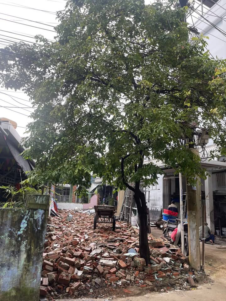 Đất lô góc Lê Tấn Trung, Sơn Trà 65m² giá 4.X tỷ - Đầu tư sinh lời!